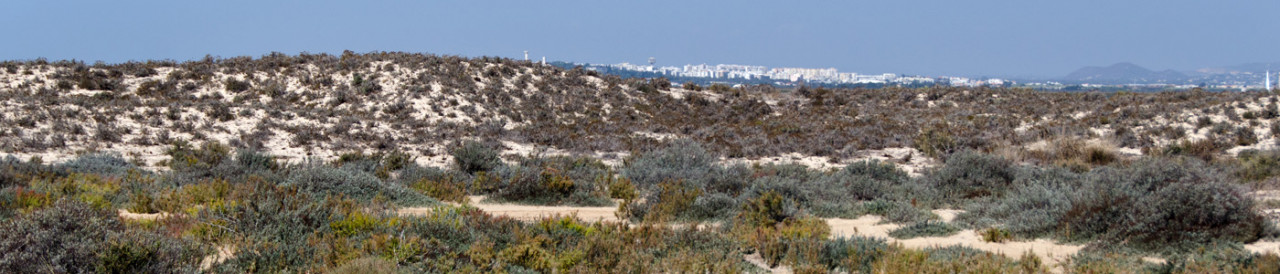 An der Algarve – und doch wie aus der Welt gefallen